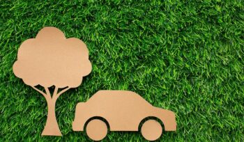 photo d'un arbre et d'une voiture en papier sur l'herbe