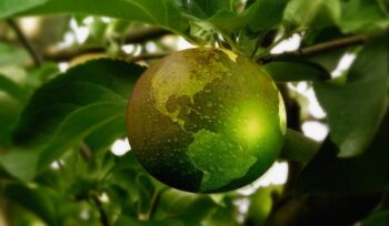 sustainability-earth